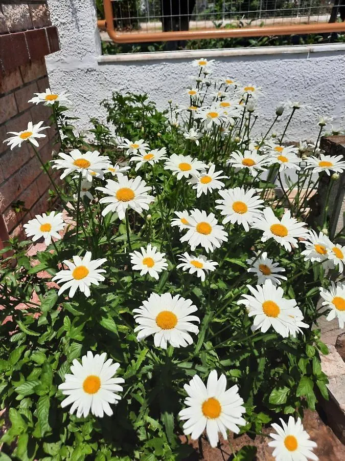 Holiday home Casa Olena Villa Nea Poteidaia Greece